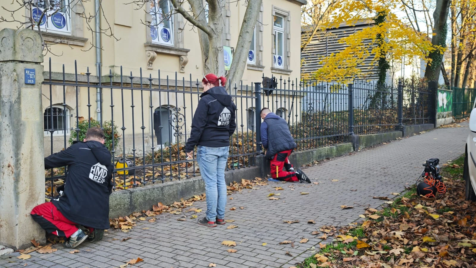 Heckenfläche als Beispiel für die Planung von Schnittzeitpunkt und Gehölzpflege